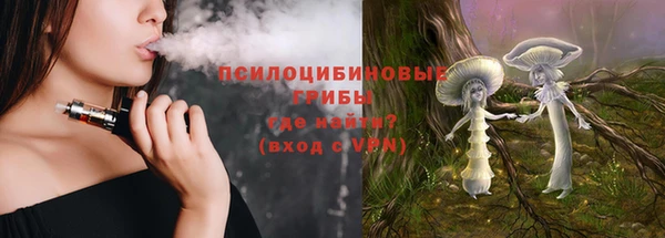 сатива Бронницы
