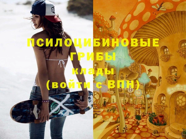 не бодяженный Богородицк