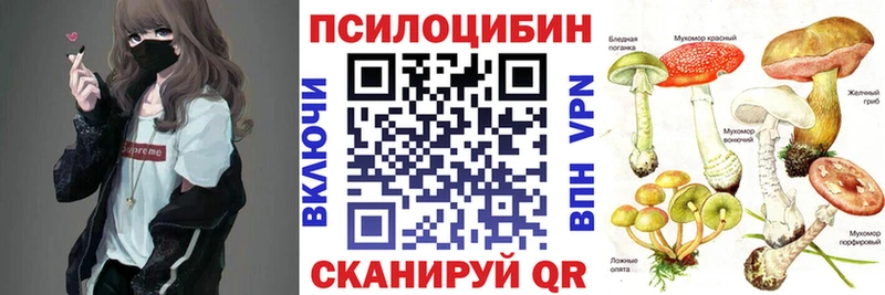 Купить где  Дубовка  Псилоцибиновые грибы Psilocybine cubensis 